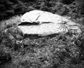 Skålgropssten. RAÄ2