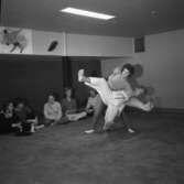 Judo-kursen i Kopparberg.