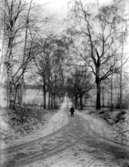 En pojke.Vinterbild.