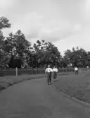 Typografernas idrottstävlingar.