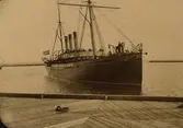 Kungabesök i Trelleborg 1890.