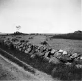 Gånggrifter ur Sahlströms förteckning, nr 97-98.