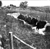 Hällkista. Sahlströms förteckning nr 87.