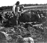 Östra röset undersöks av bl.a. dr. Sahlström.