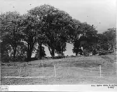 Kyrkalléns n. del från väster.