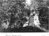 Ruinen före utgrävn.1928. Foto mot öster.