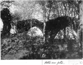 Ruinen före utgrävning 1928.