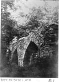Ruinen före utgrävningen 1928.