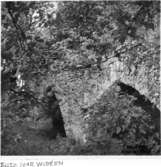 Ruinen före utgrävn.1928. Foto fr. sydost.