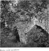 Ruinen före utgrävn.1928. Foto fr. sydost.