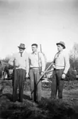 Bröderna Nils, Paul och Gösta Johansson på jaktstig.