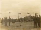 Lantbruksmötet stortorget i Trelleborg 1904, vy mot sydost centralskolan i bakgrunden, djuruppvisning, 70:2854, 3662.