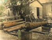 Lantbruksmötet i Trelleborg år 1904, mötesplatsen å Nya Torget som sedan blev Stortorget, 3663.