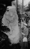 Foto taget vi Axel Ebbes konsthalls 25-årsjubileum 9/6 1960. 
Lillemor Ebbe vid skulpturen ”Mannen som bryter sig ur klippan”.