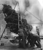 Julgran på Gamla Torg 22/11-28/11-1964.