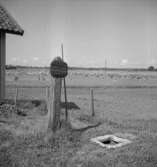 Fornlämning. Hardemo.15 augusti 1939.