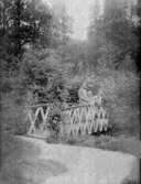 Bro i Gillens trädgård på Rixö utanför Brastad, omkring 1930.