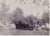 Kamrerarevillan.