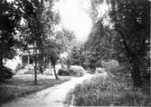 Mössebergsparken. I parken finns många villor, ofta med mycket 