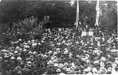 Excelsiorförbundets ungdomsmöte på Mösseberg 1913.