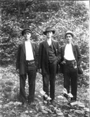 Erik Lundqvist i vegamössa och troligen hans bröder.