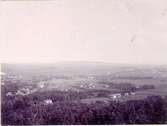 Utsikt över Falköping mot Ålleberg omkring 1900.