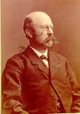Wilhelm Hammar, rådman.