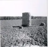 Skålgropar på stenblock.