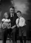 Julius Johnsson med söner, Johnssons privata bilder.