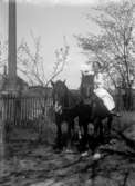 En kvinna och två hästar i en trädgård, ”1916 C” på asken
	Metallutfällning.