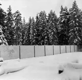 Stängsel vid reningsverket.