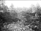 Mössebergs fornborg. Ugglums bys utmark (byallmänning)