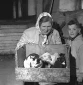 En kvinna, en pojke och några djur.
Britta Strand