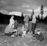 Kräftfiske vid Hyttnäs, fem personer.