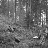 Hemvärnet i Kopparberg.