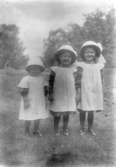 Flickorna Brita, Ingeborg och Hedvig Johansson.19/6 1912 vid Tälle.