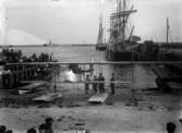 Ett amfibieplan har landat vid Trelleborgs hamn år 1915. En mängd människor tittar på, ett antal segelfartyg ligger vid kajen.  
	Metallutfällning, bruna fläckar.