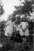 En kvinna och tre barn i en trägård, gossen troligen Per Johnson. Johnsons privata bilder.