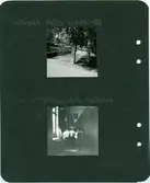 Fotoalbum, Johanna Brunssons vävskola.