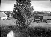 Ängskullens gånggrift (Werner) nr. 12 i Sahlstr.:s Gudhems härads formminne. Restaurerad av F.H.F.F. 1933.