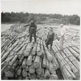 Värmlandsnäs. Bogserbåten Wargön.