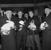 En grupp män visar upp kaniner på en kaninutställning den 4 februari.