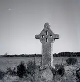 Ryningskorset, Persnäs, 1 km från kyrkan.
Öland har fem väl bevarade stenkors. Ett av dem ligger i Hallnäs i Persnäs socken.