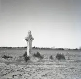 Ryningskorset, Persnäs, 1 km från kyrkan.
Öland har fem väl bevarade stenkors. Ett av dem ligger i Hallnäs i Persnäs socken.