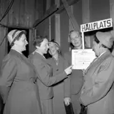 Valdebatt i Sveaparken.
 26 augusti 1955.