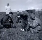 Antikvarie Ulf Erik Hagberg och dr. Ragnhild Boström gör en arkeologisk undersökning vid Kåreholm. Kåreholm är en ö intill Kårehamn.