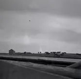 Kor på näset söder om hamnen vid S:ta Britas kapell i Bredsättra.