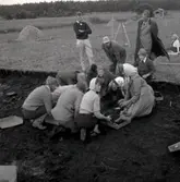 Kung Gustaf VI Adolf gräver vid Skedemosse. Gustaf VI Adolf var en ivrig och kunnig amatörarkeolog.