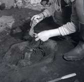 Slutet fynd (betyder att fyndet är bestående av flera fynd påträffade på en och samma plats) vid utgrävningarna i Skedemosse.