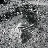 Gravfynd från Klinta 1957